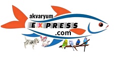 Akvaryum Express