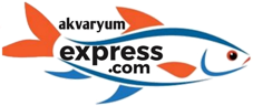 Akvaryum Express