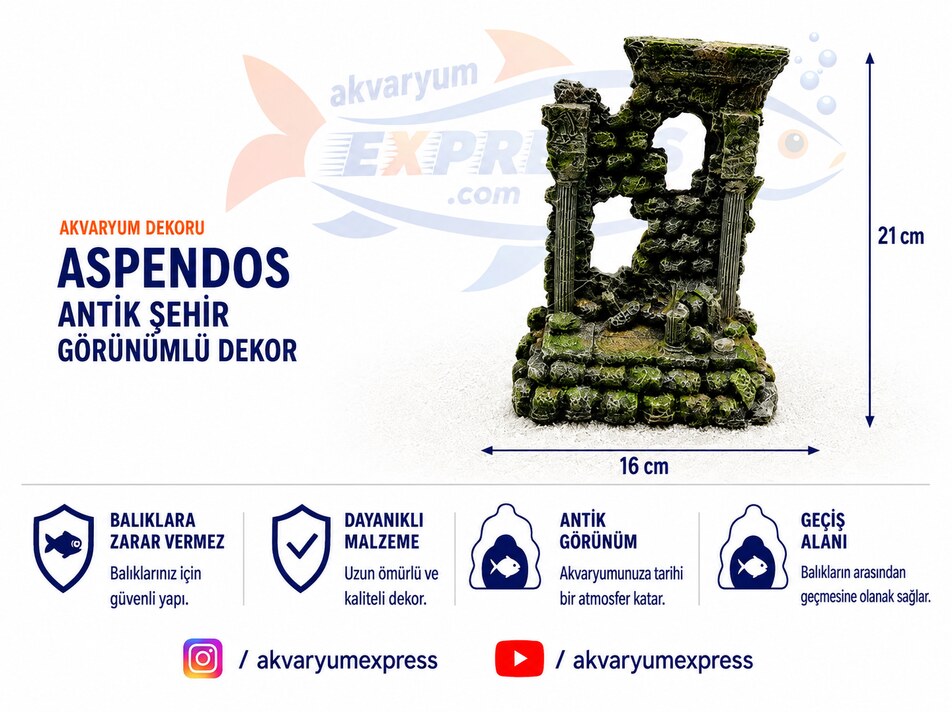 ASPENDOS AKVARYUM DEKORU