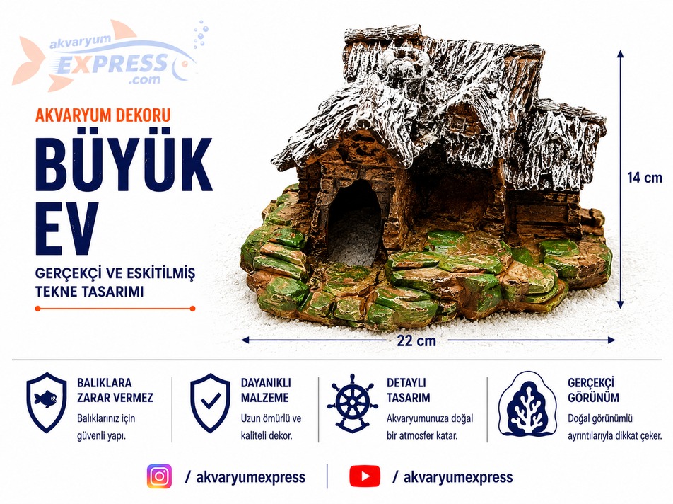 BÜYÜK EV AKVARYUM DEKORU