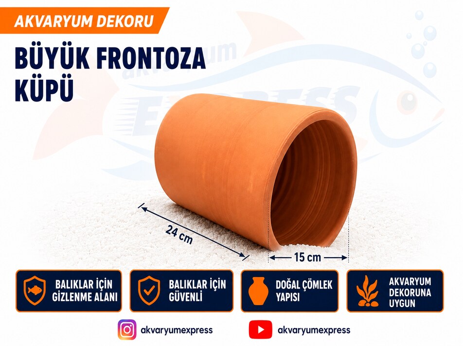 BÜYÜK FRONTOZA KÜPÜ ÇÖMLEK AKVARYUM DEKORU