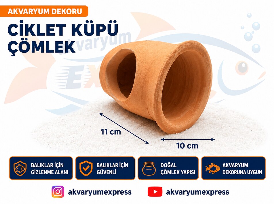 CİKLET KÜPÜ ÇÖMLEK AKVARYUM DEKORU