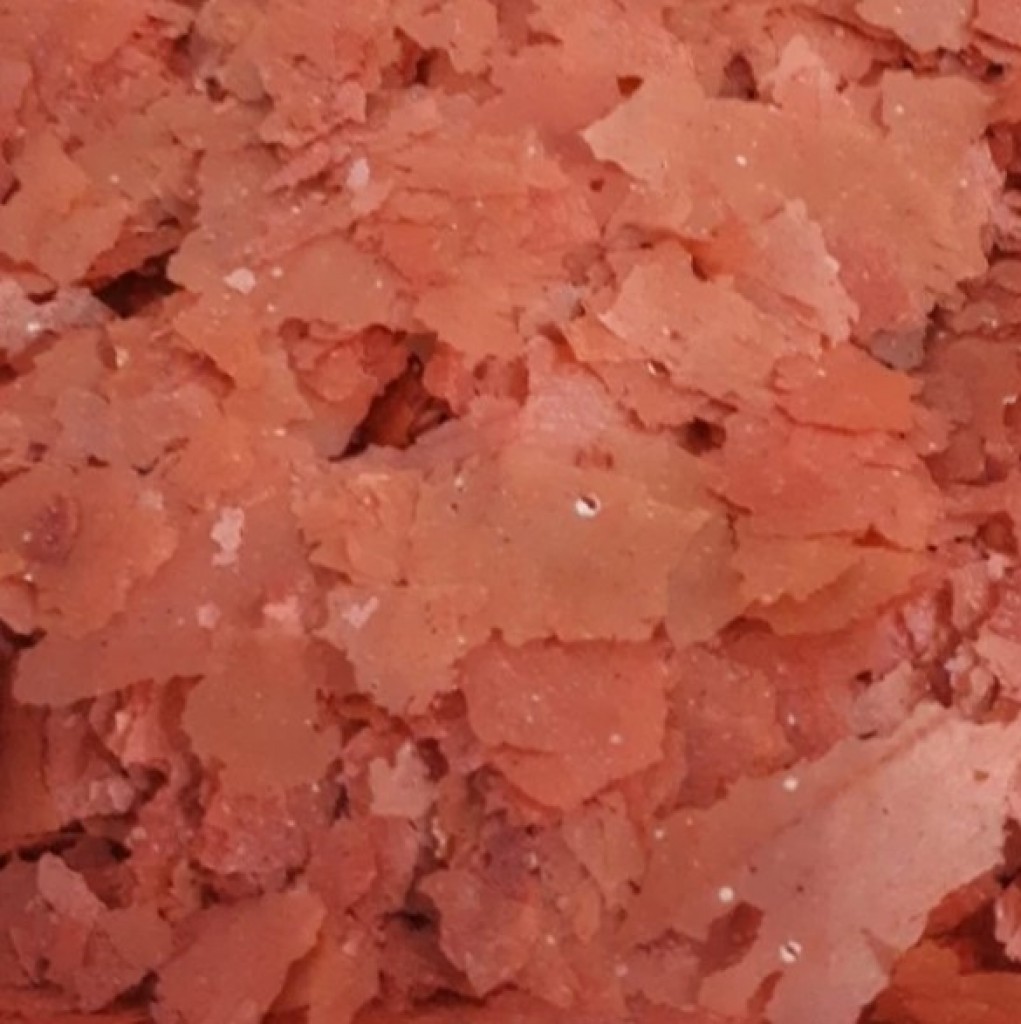 Dajana Tropical Artemia Flakes Pul Yem 25gr Kovadan Bölme