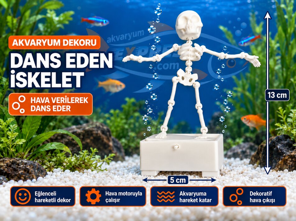 DANS EDEN İSKELET AKVARYUM DEKORU