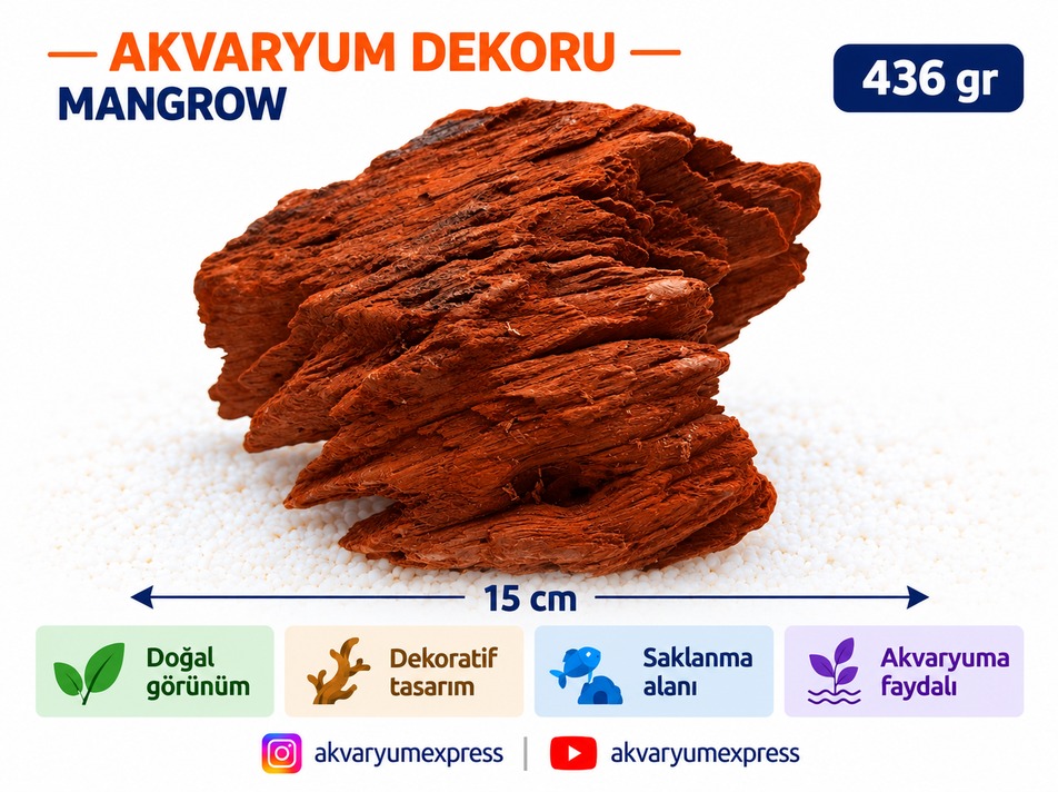DEKORATİF DOĞAL MANGROW KÖKÜ M SERİSİ 1 ADET AKVARYUM DEKORU