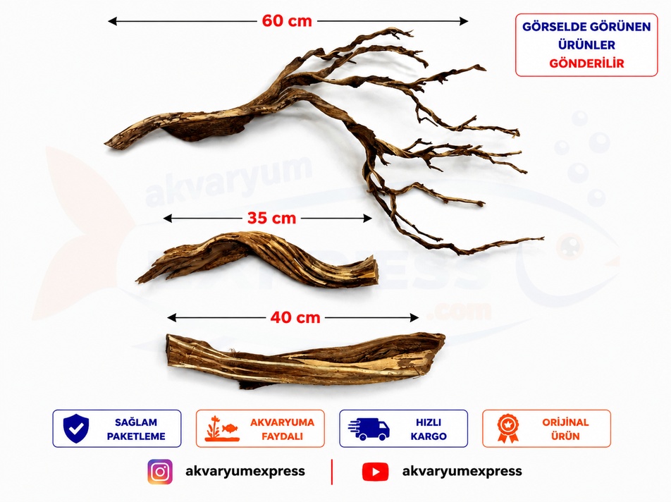 DOĞAL DEKORATİF RİBBED WOOD AĞAÇ VE DRAGON STON SET (GÖRSELDEKİ GÖNDERİLİR)