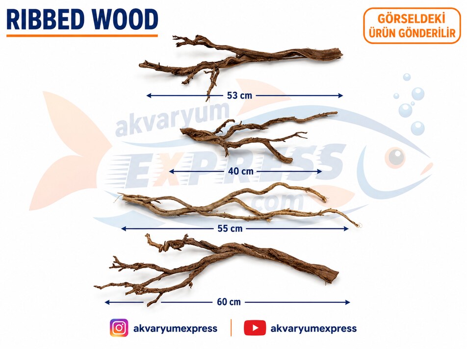 DOĞAL DEKORATİF RİBBED WOOD AKVARYUM DEKORU
