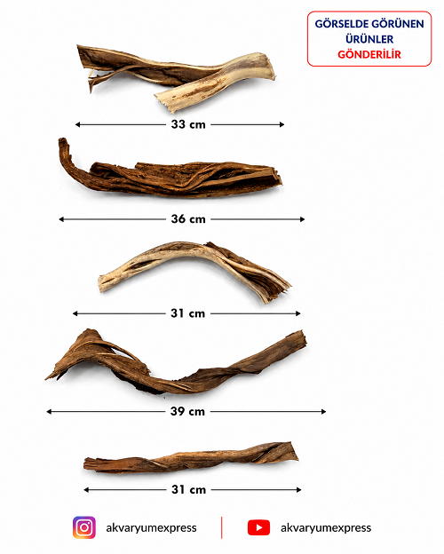 DOĞAL DEKORATİF RİBBED WOOD YATİ 5 PARÇA