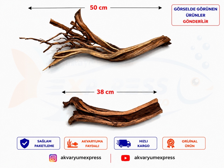 DOĞAL DEKORATİF RİBBED WOOD YATİ AKVARYUM DEKORU
