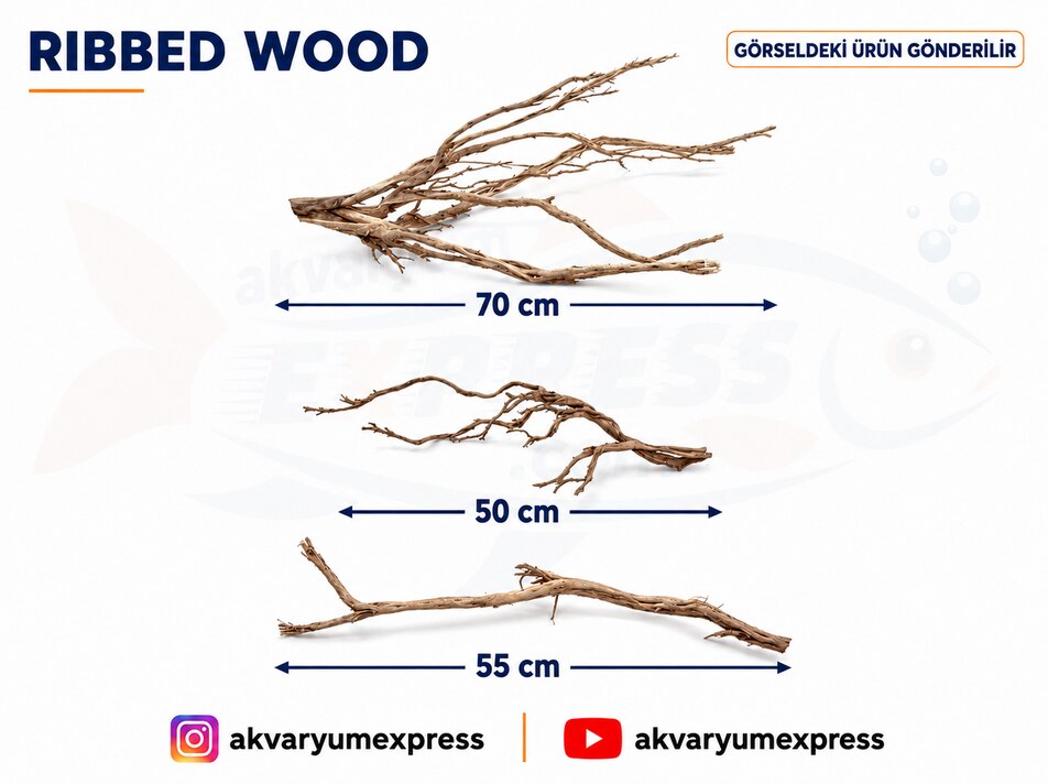 DOĞAL DEKORATİF RİBBED WOOD YATİ AKVARYUM DEKORu
