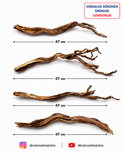 DOĞAL DEKORATİF RİBBED WOOD YATİ AKVARYUM DEKORU 4 PARÇA