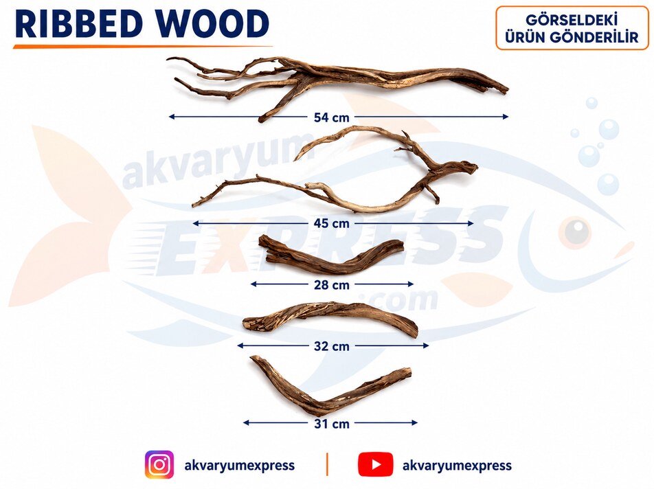 DOĞAL DEKORATİF RİBBED WOOD YATİ AKVARYUM DEKORU