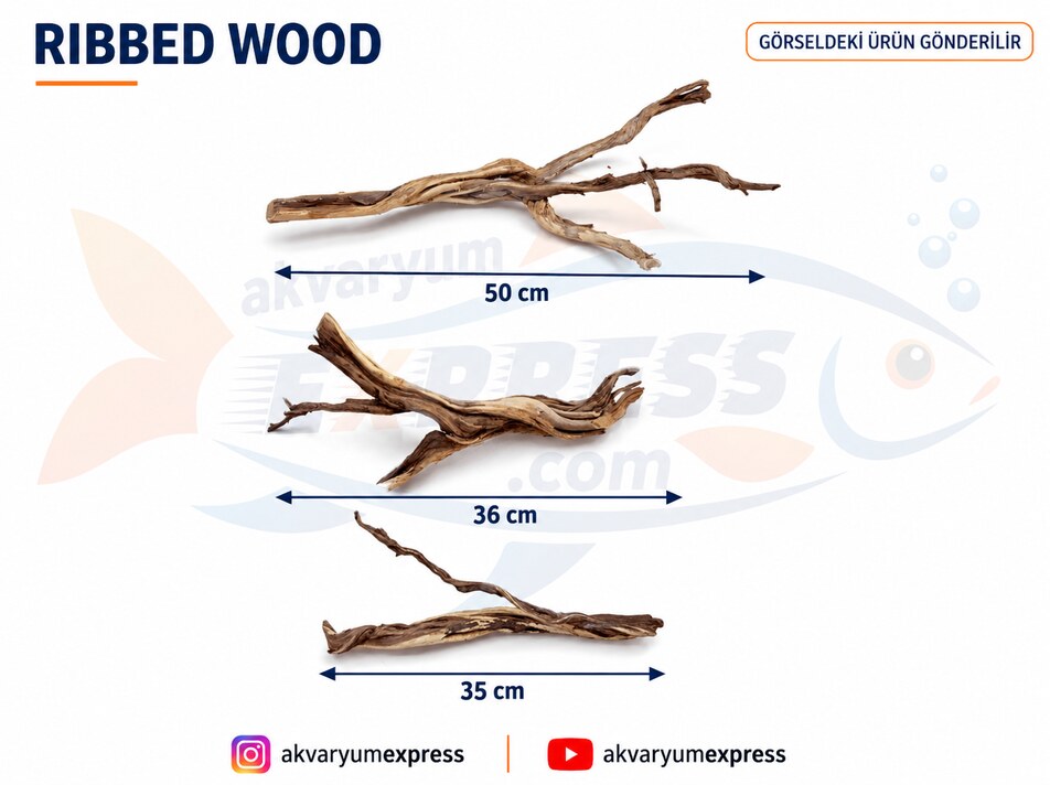 DOĞAL DEKORATİF RİBBED WOOD YATİ AKVARYUM DEKORU
