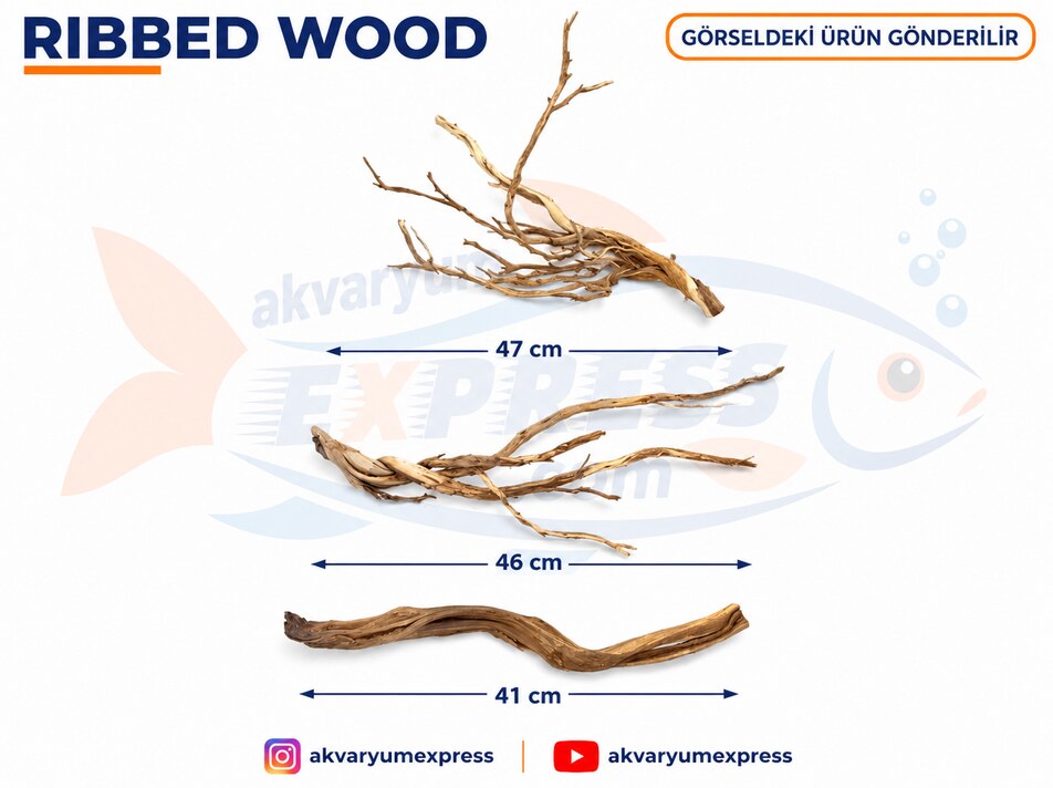 DOĞAL DEKORATİF RİBBED WOOD YATİ AKVARYUM DEKORU