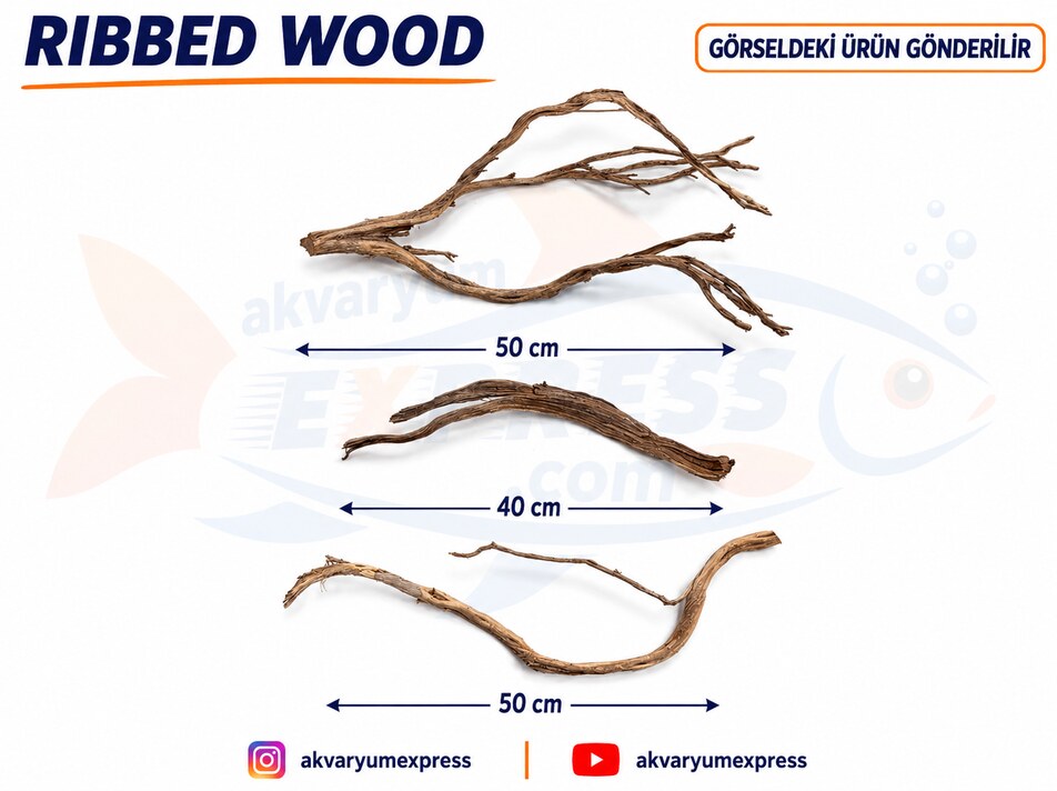 DOĞAL DEKORATİF RİBBED WOOD YATİ AKVARYUM DEKORU
