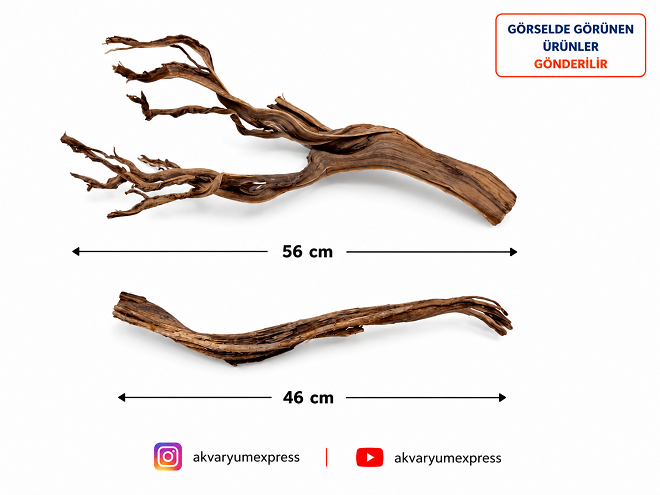 DOĞAL DEKORATİF RİBBED WOOD YATİ AKVARYUM DEKORU