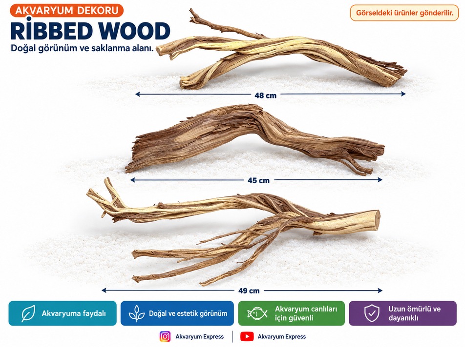 DOĞAL DEKORATİF RİBBED WOOD YATİ AKVARYUM DEKORU 3 PARÇA