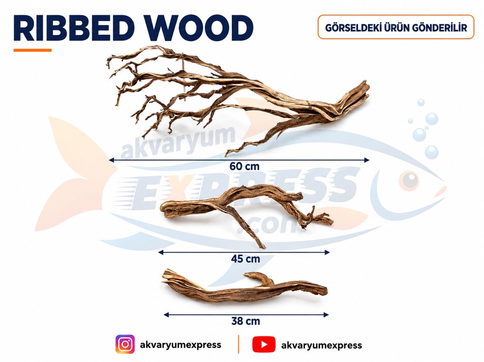 DOĞAL DEKORATİF RİBBED WOOD YATİ AKVARYUM DEKORU 3 PARÇA
