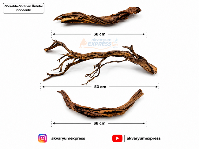 DOĞAL DEKORATİF RİBBED WOOD YATİ AKVARYUM DEKORU 3 PARÇA