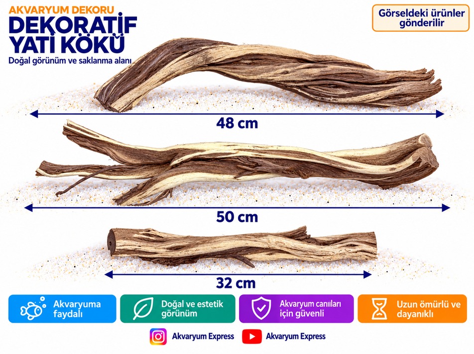 DOĞAL DEKORATİF RİBBED WOOD YATİ AKVARYUM DEKORU 3 PARÇA