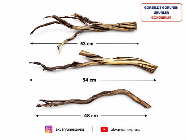 DOĞAL DEKORATİF RİBBED WOOD YATİ AKVARYUM DEKORU 3 PARÇA
