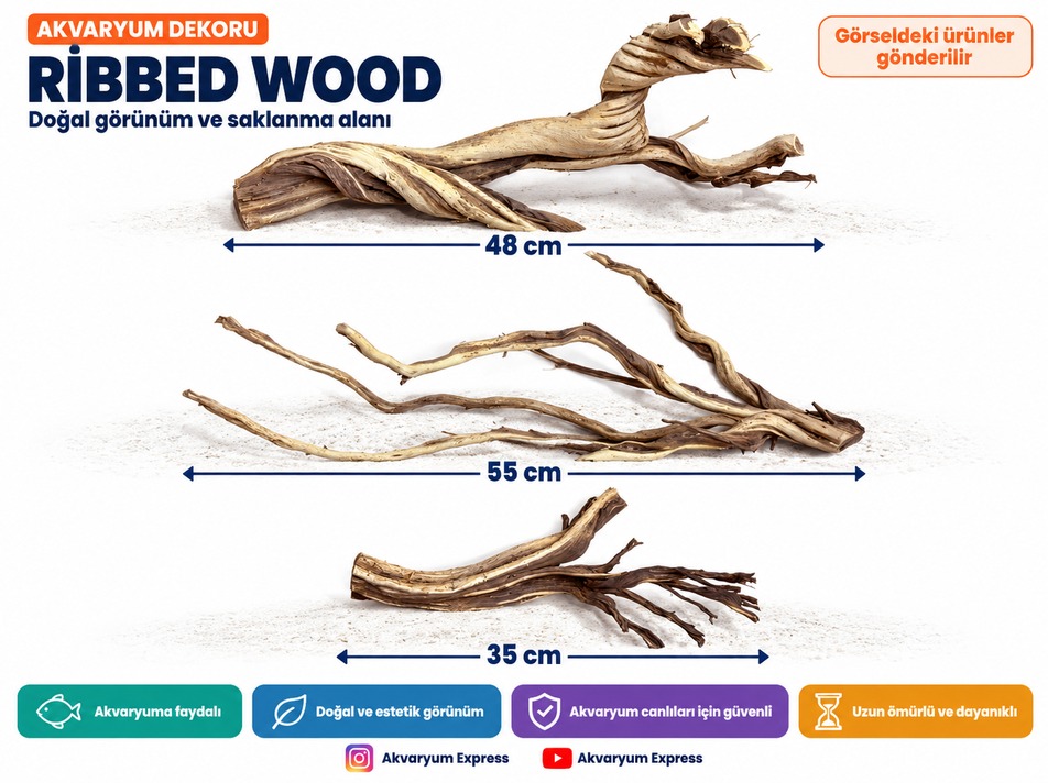DOĞAL DEKORATİF RİBBED WOOD YATİ AKVARYUM DEKORU 