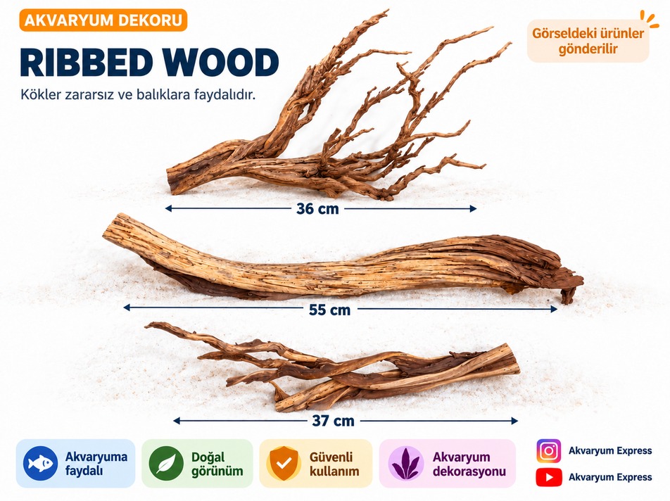 DOĞAL DEKORATİF RİBBED WOOD YATİ AKVARYUM DEKORU