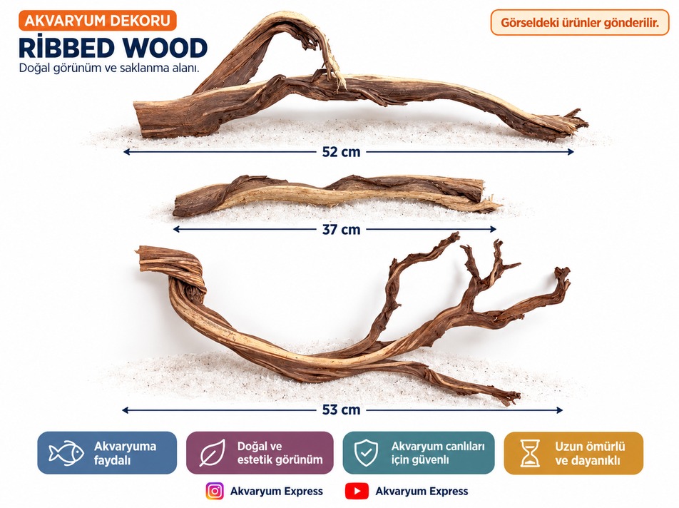 DOĞAL DEKORATİF RİBBED WOOD YATİ AKVARYUM DEKORU