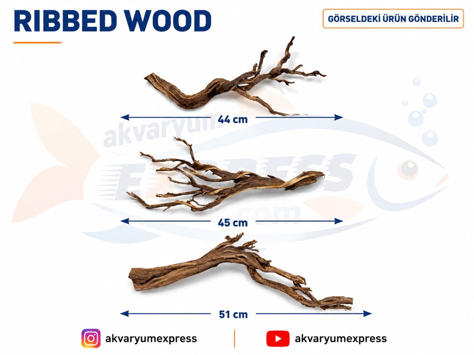 DOĞAL DEKORATİF RİBBED WOOD YATİ AKVARYUM DEKORU