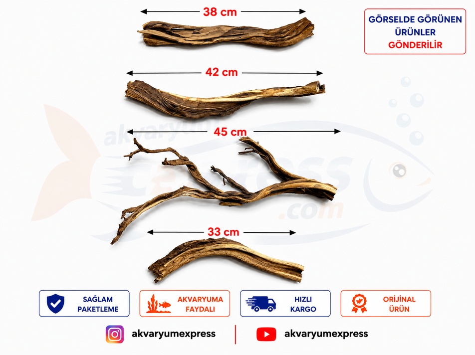 DOĞAL DEKORATİF RİBBED WOOD YATİ AKVARYUM DEKORU 4 PARÇA