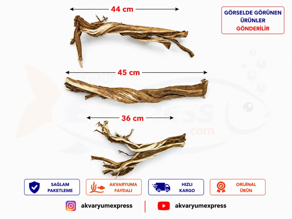 DOĞAL DEKORATİF RİBBED WOOD YATİ AKVARYUM DEKORU