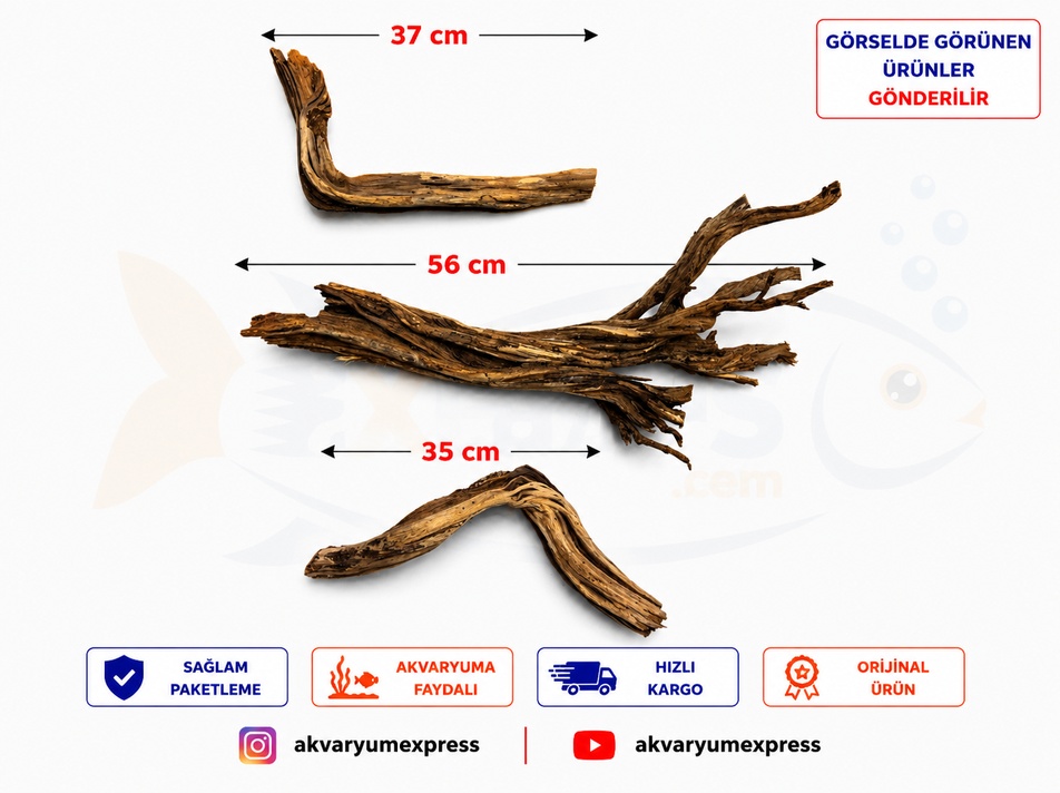 DOĞAL DEKORATİF RİBBED WOOD YATİ AKVARYUM DEKORU