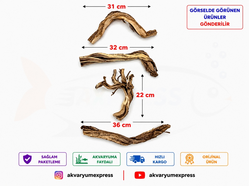 DOĞAL DEKORATİF RİBBED WOOD YATİ AKVARYUM DEKORU
