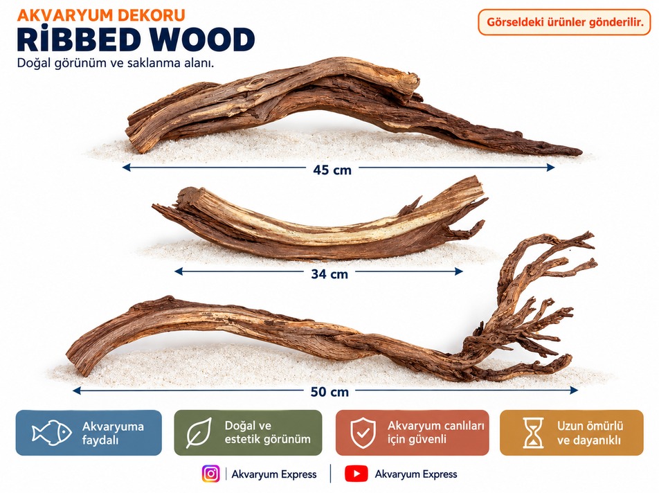 DOĞAL DEKORATİF RİBBED WOOD YATİ AKVARYUM DEKORU