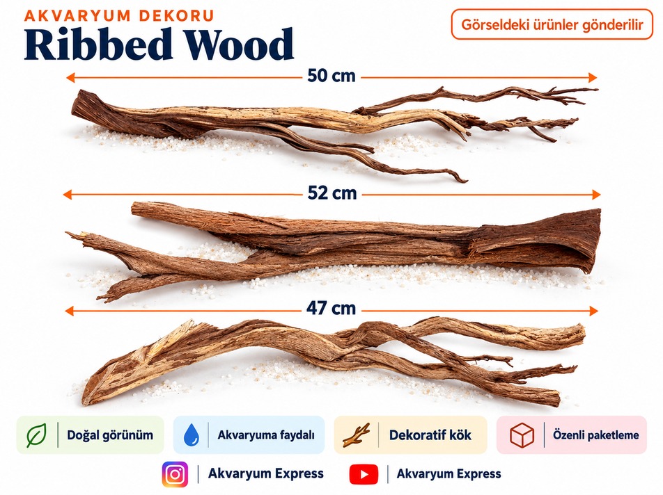 DOĞAL DEKORATİF RİBBED WOOD YATİ AKVARYUM DEKORU