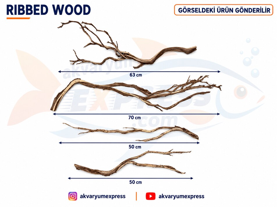 DOĞAL DEKORATİF RİBBED WOOD YATİ AKVARYUM DEKORU