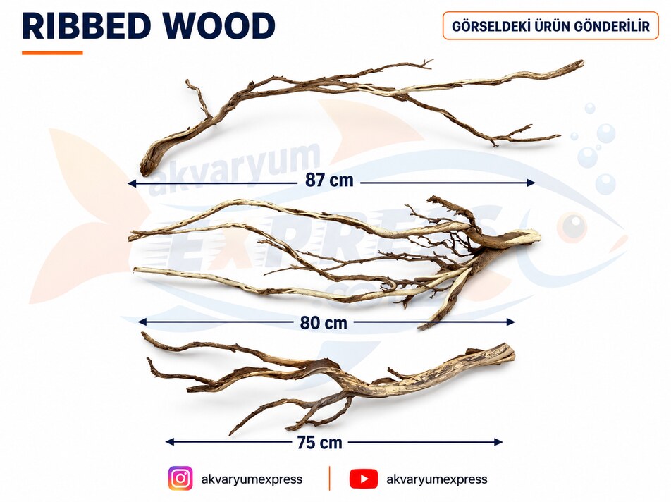 DOĞAL DEKORATİF RİBBED WOOD YATİ AKVARYUM DEKORU