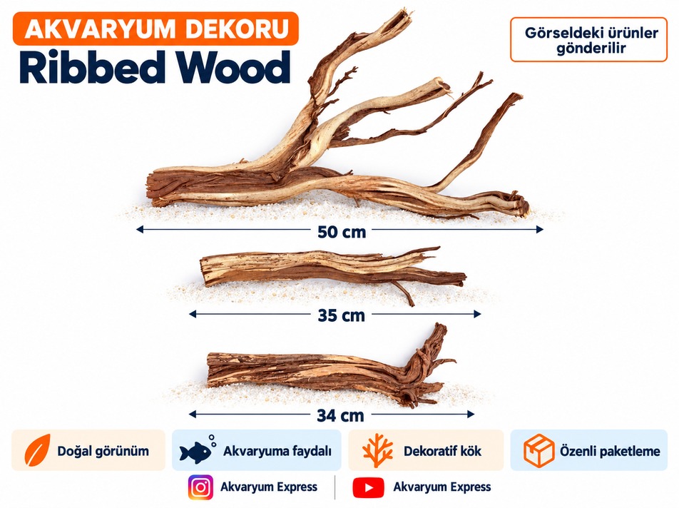 DOĞAL DEKORATİF RİBBED WOOD YATİ AKVARYUM DEKORU