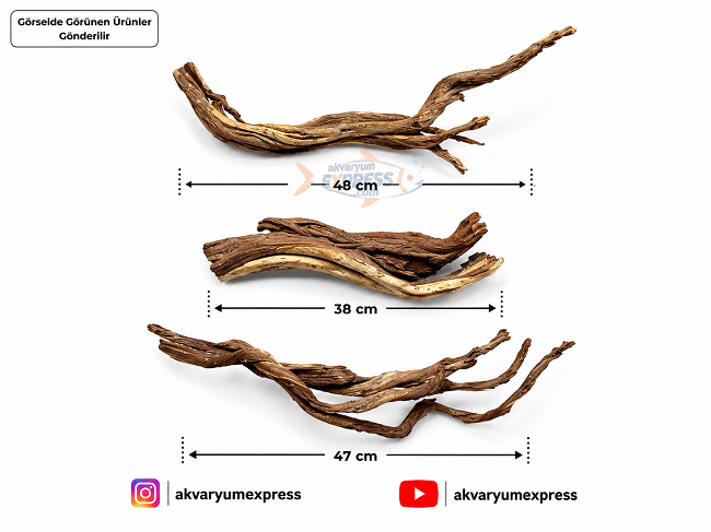 DOĞAL DEKORATİF RİBBED WOOD YATİ AKVARYUM DEKORU