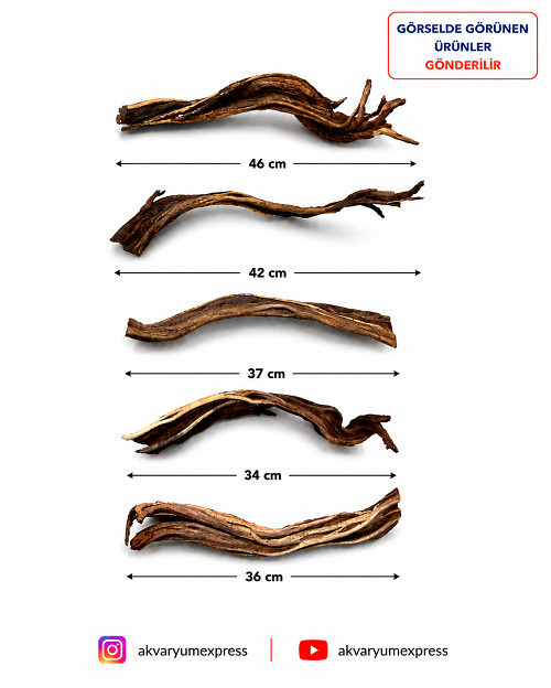 DOĞAL DEKORATİF RİBBED WOOD YATİ AKVARYUM DEKORU