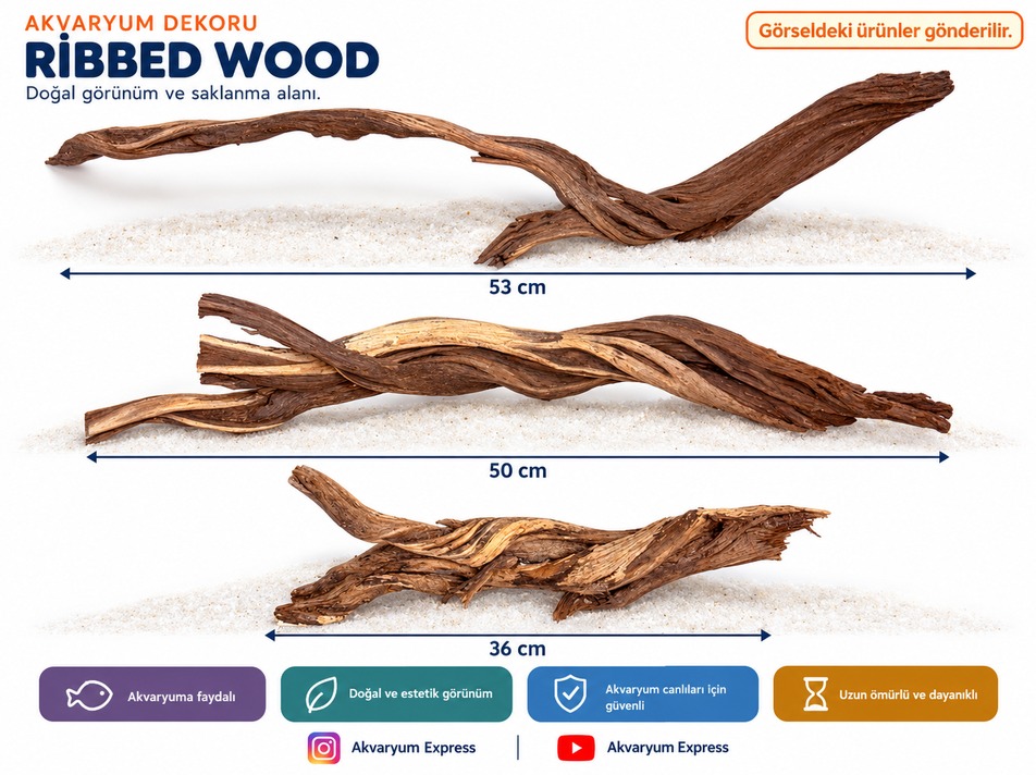 DOĞAL DEKORATİF RİBBED WOOD YATİ AKVARYUM DEKORU