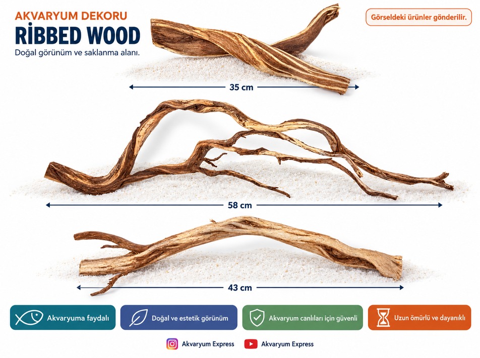 DOĞAL DEKORATİF RİBBED WOOD YATİ AKVARYUM DEKORU