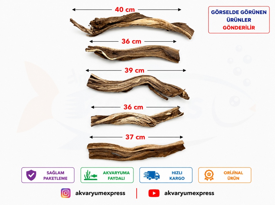 DOĞAL DEKORATİF RİBBED WOOD YATİ AKVARYUM DEKORU