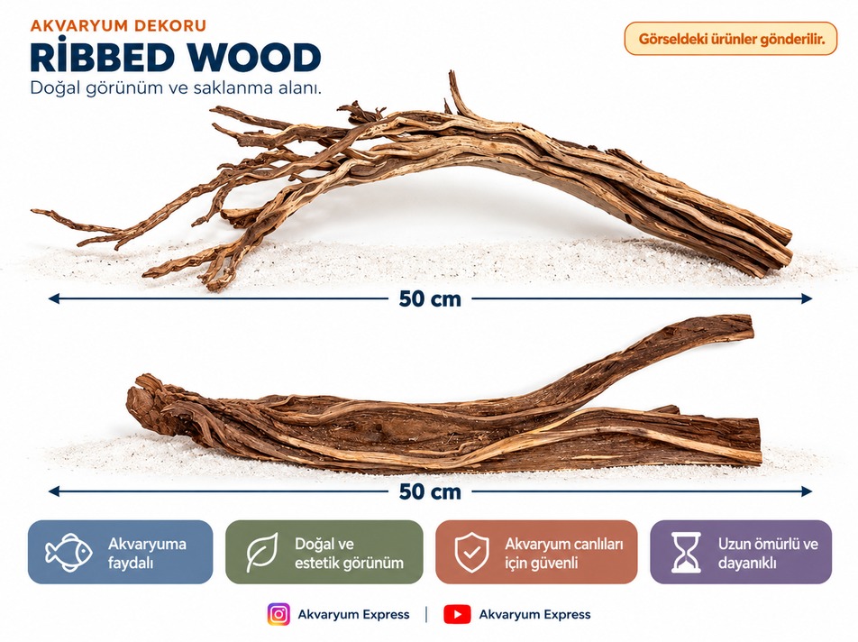 DOĞAL DEKORATİF RİBBED WOOD YATİ AKVARYUM DEKORU