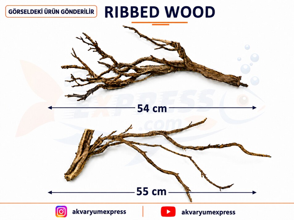 DOĞAL DEKORATİF RİBBED WOOD YATİ AKVARYUM DEKORU