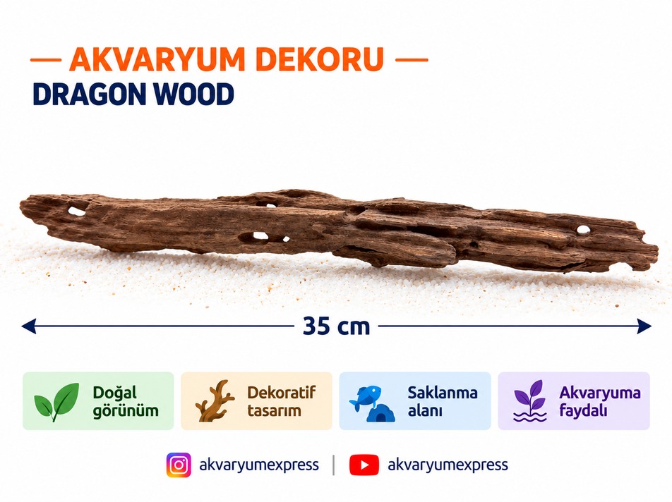 DOĞAL DEKORATİF SHRİMP WOOD KARİDES AĞAÇ AKVARYUM DEKORU