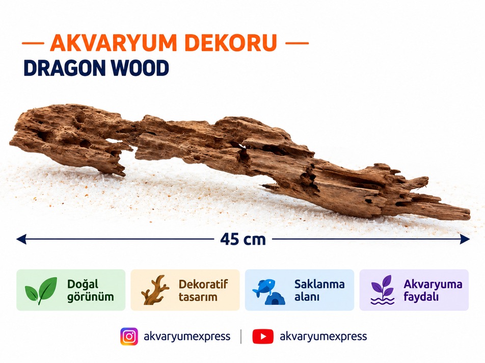 DOĞAL DEKORATİF SHRİMP WOOD KARİDES AĞAÇ AKVARYUM DEKORU