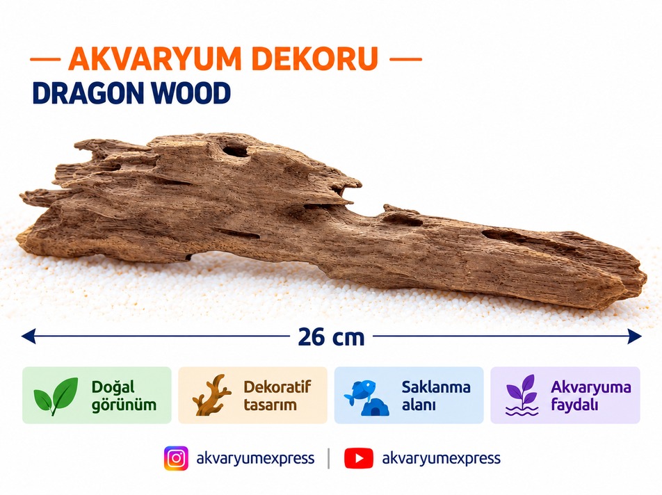DOĞAL DEKORATİF SHRİMP WOOD KARİDES AĞAÇ AKVARYUM DEKORU