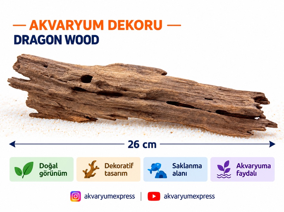 DOĞAL DEKORATİF SHRİMP WOOD KARİDES AĞAÇ AKVARYUM DEKORU