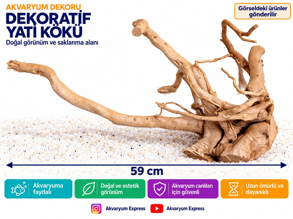 DOĞAL DEKORATİF YATİ KÖKÜ AKVARYUM DEKORU 
